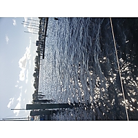 King tide image